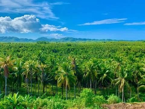 DR. OM PRAKASH - LotusHealth Pollachi